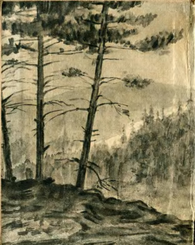 p0244