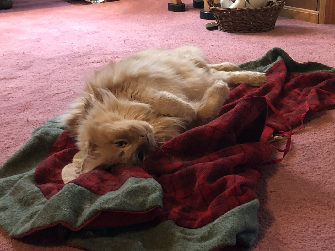 DD5BEFDE-994A-4506-B6F6-AD223A14B476