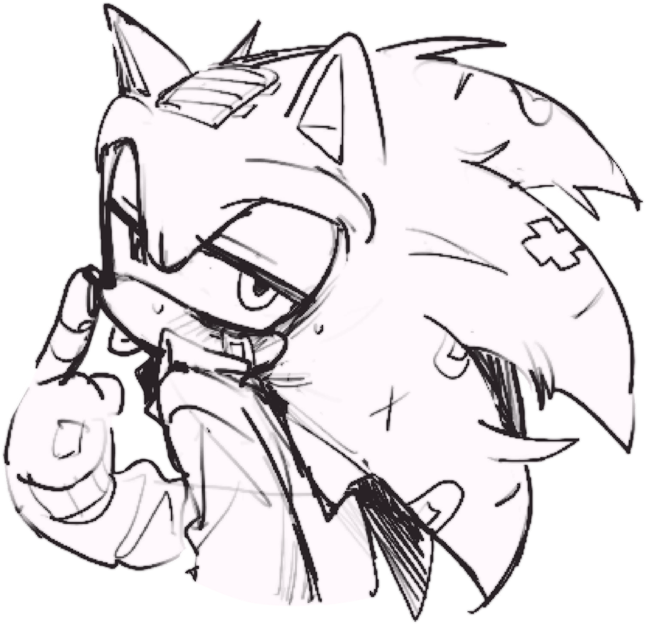 made by the bunny◟ nftu｡ i am the irl sonic ever ◟dni if you think you are me｡