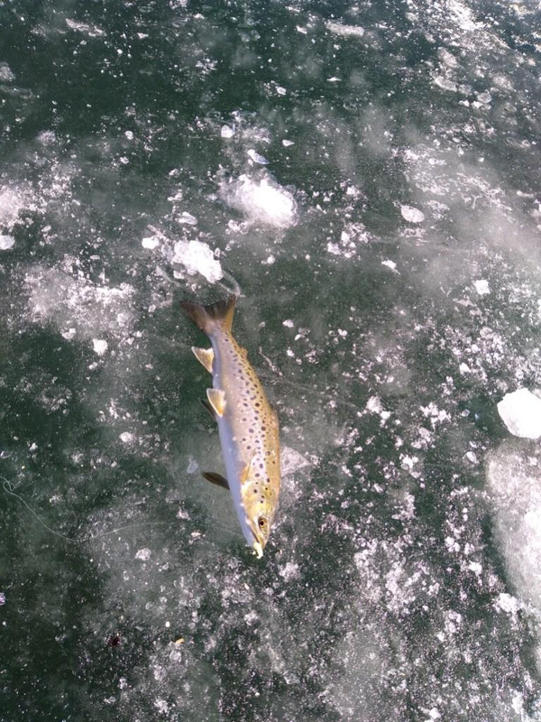 First Ice