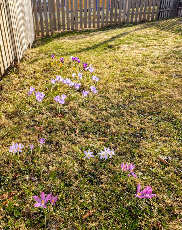 PXL_20240415_190107499.MP