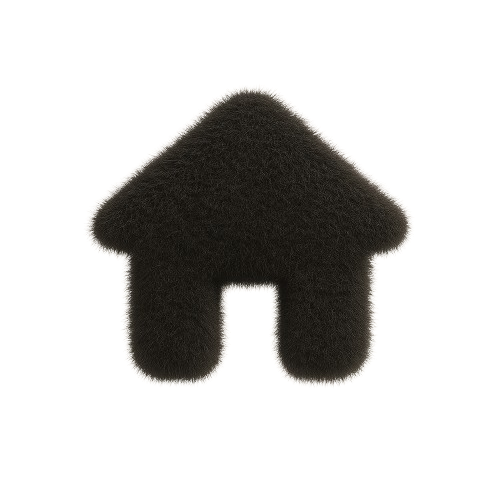Home Icon
