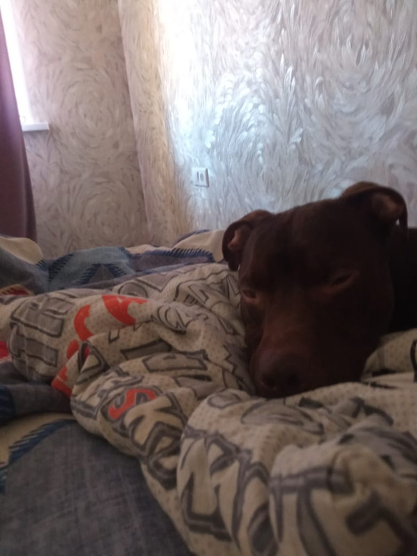 93489371-6AC4-4C20-9E7B-7DA0A947FE81