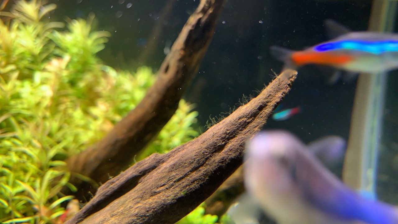 thumbnail_A632ECB1-D6BB-4899-9E30-8D043BCB38E1