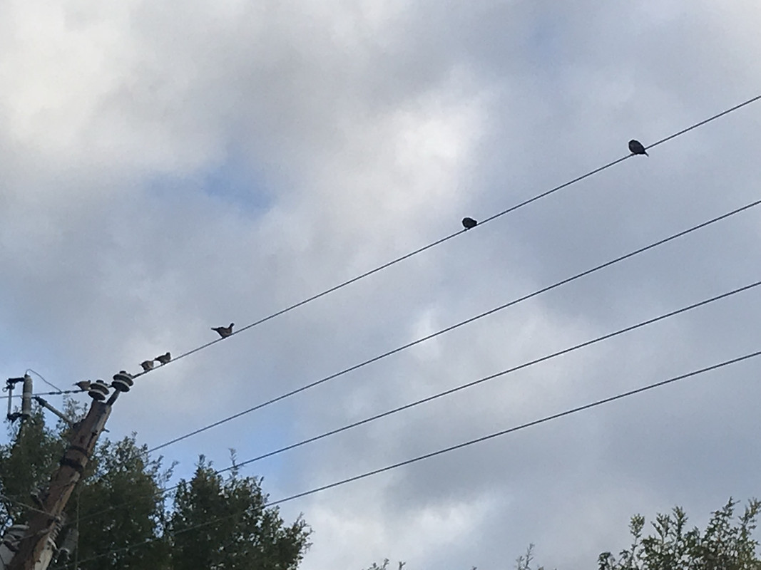 3DE99702-680B-4D8C-A289-D41BE72D301B