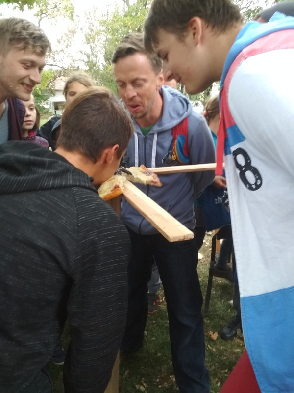 Obrázek