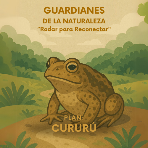 Cururú