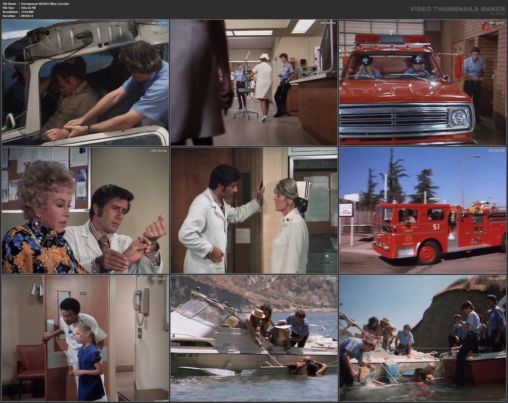 Emergency! S03E03 Alley Cat.mkv