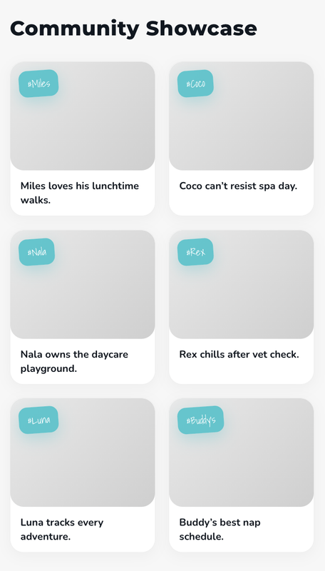 Fetch & Go mobile view