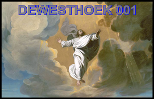 Naamloos