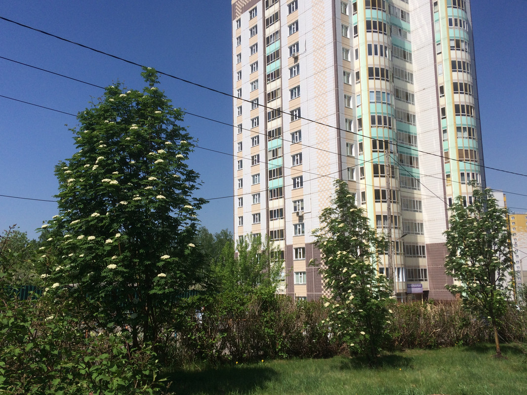 7D9DC7EC-4A0A-4371-A94C-D986B51C2AAA