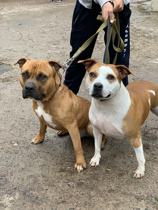 9CE2FED7-751F-4C8C-BB1B-87AD4DA708E0