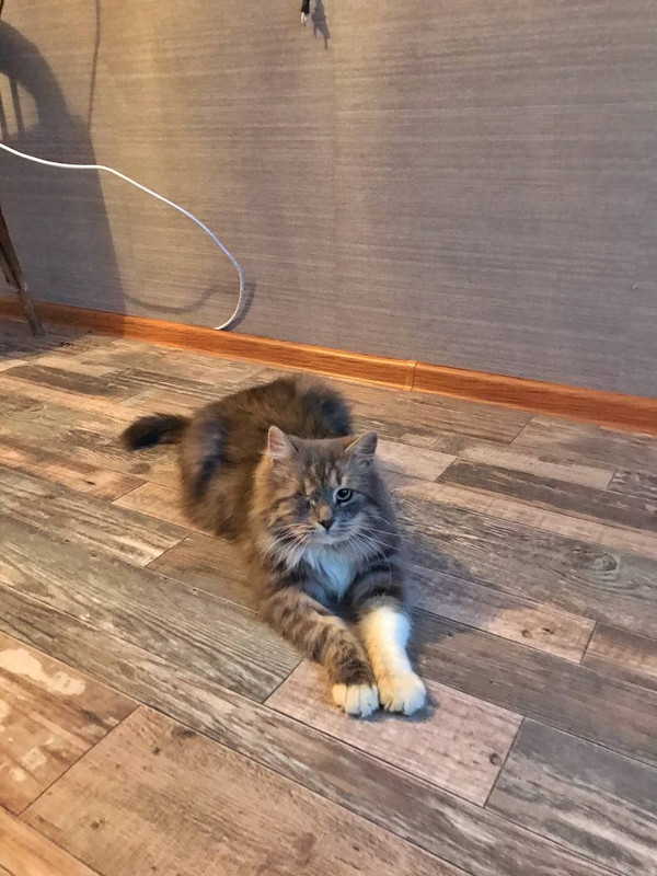 D5B69873-4E37-488F-BEE6-1F989381184F