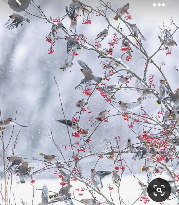 Screenshot_20231019_201952_Pinterest