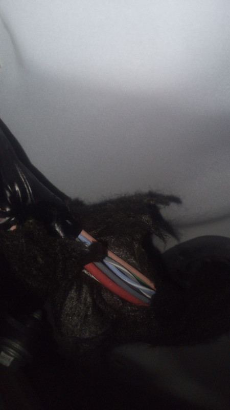 -5913278714089684145_121