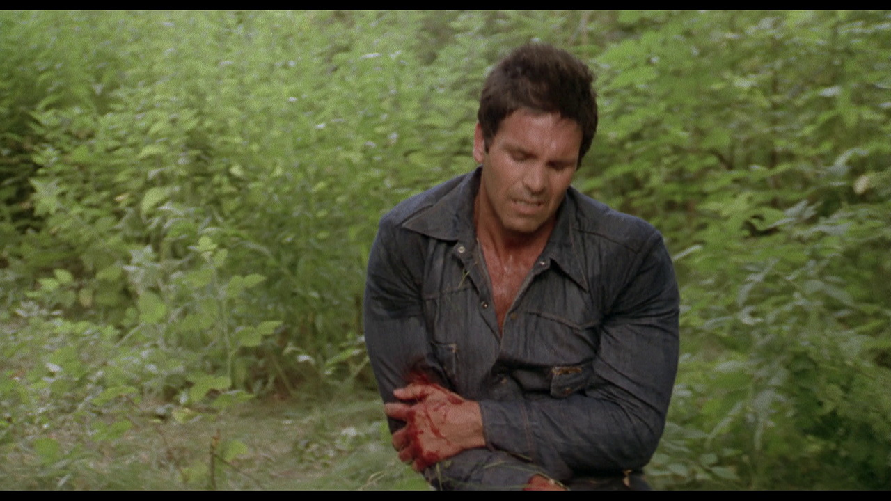 vlcsnap-2023-03-19-10h12m06s938