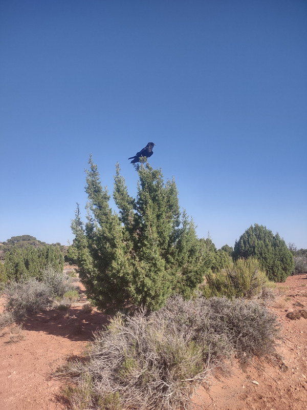 IMG_20250619_181224978_HDR