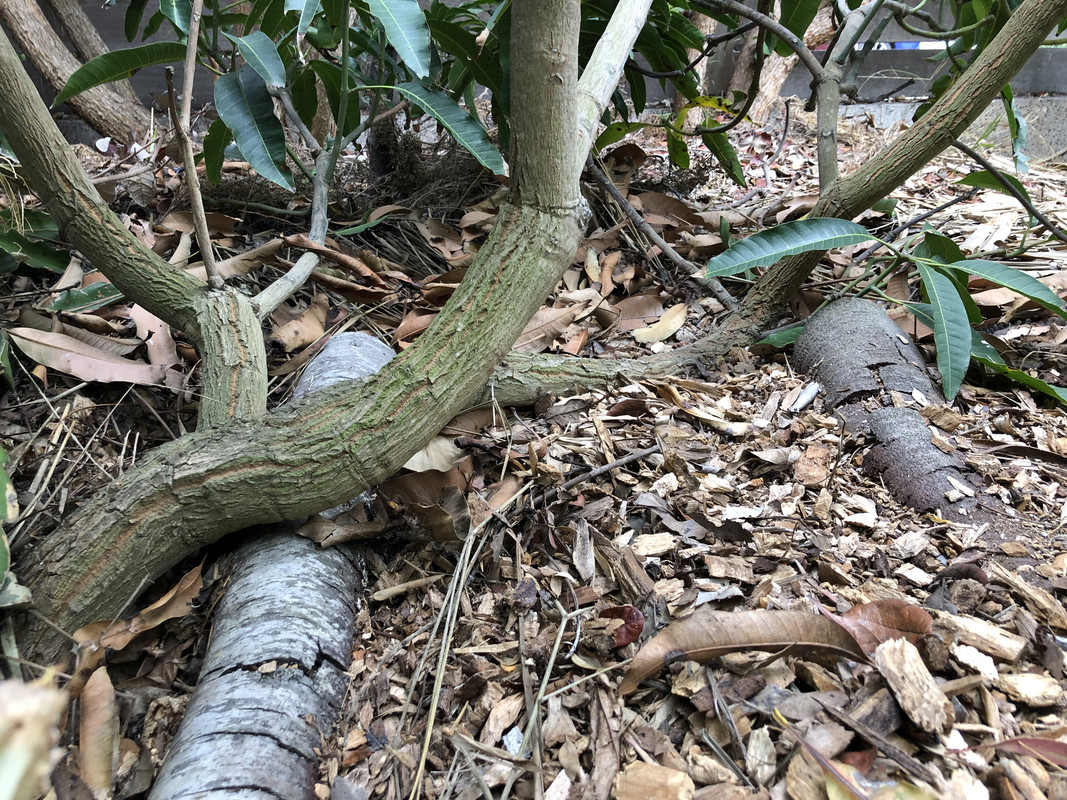 5B23C0AA-3B8A-47BB-AB4D-67A5F24BBABC