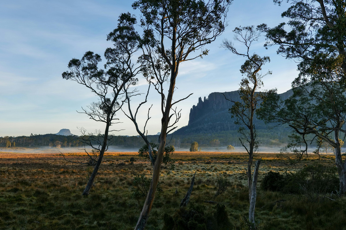 Terreno Comercial - Imagen 2