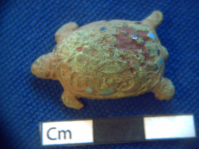 roman tortoise 010