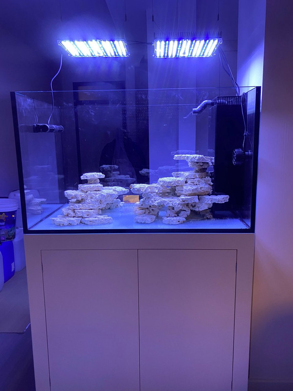 F295DFFD-7187-42CE-8250-2C2A504F9909