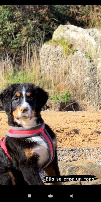 Screenshot_2021-01-15-18-06-14-214_com.instagram.android