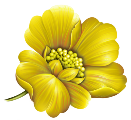 Kit_Just_Bee_In_ME (51)