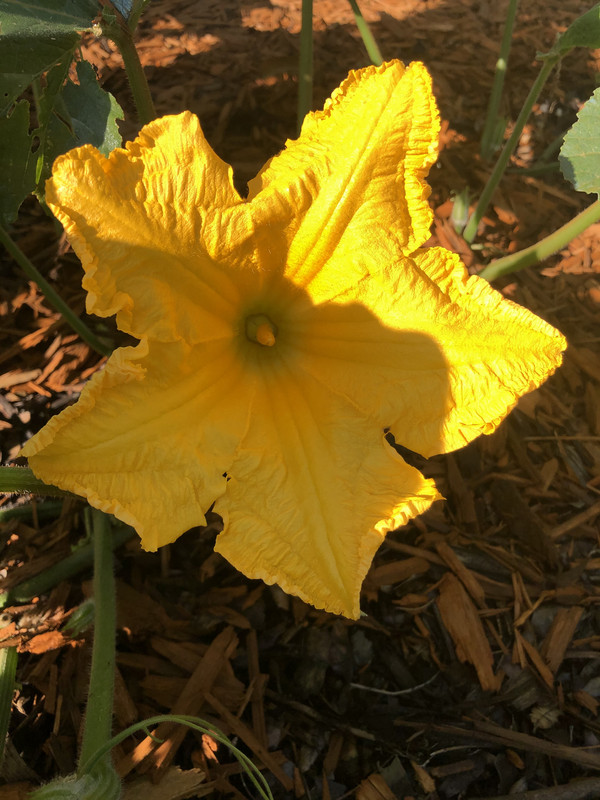 E06D9195-B2E6-4E39-9894-3DC6A6FBA1A3