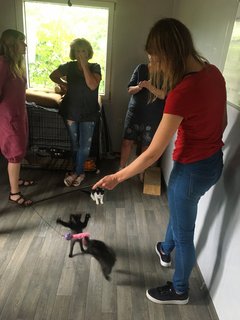 A64-D29-E2-60-A5-4460-8754-E78-B8-A98490