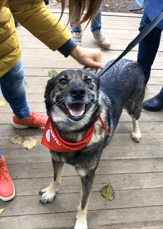 B8976774-ABDF-4A56-A67D-31EBB18EF8FA