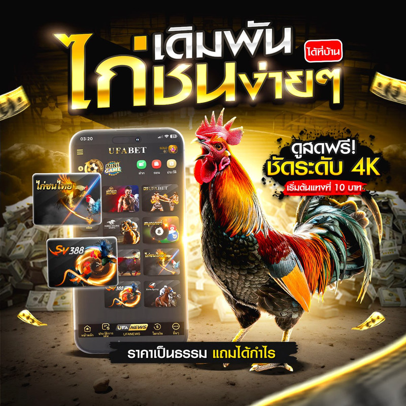 แทงไก่ชนออนไลน์ 356HD
