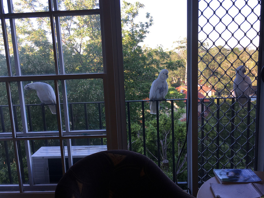 277FFA7C-1464-4F1C-BAEF-5C08BE0BB503