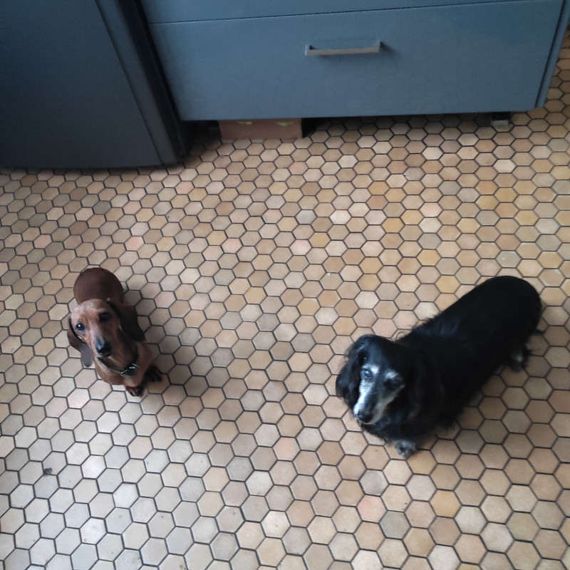 [Image: IMG-20231212-181845.jpg]