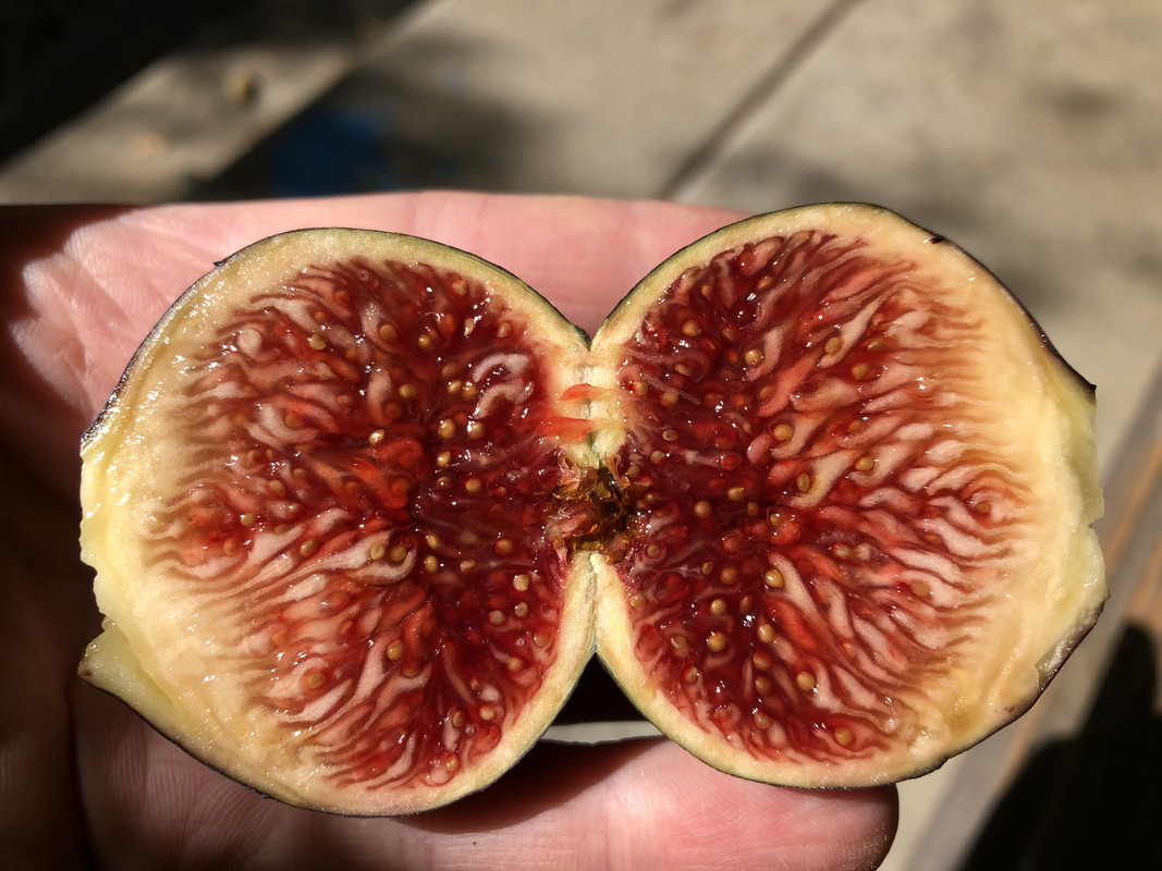 4E5D03F0-B1C2-485C-A575-6E8FA0B9E8DE