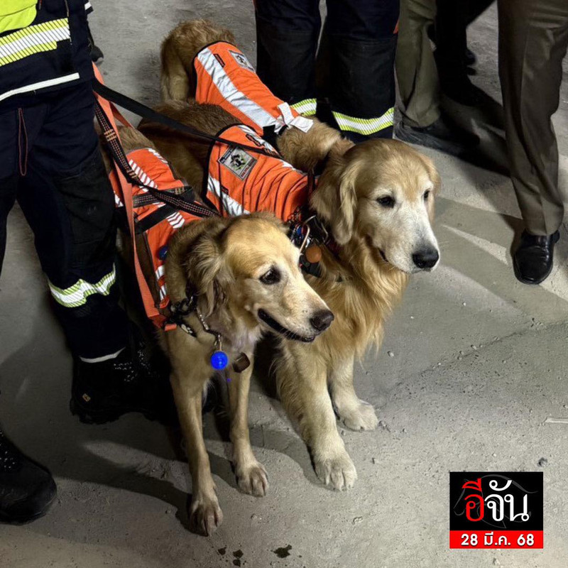 486860075-660333160039452-5943620782843277560-n