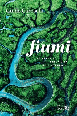 Guido Caroselli – Fiumi (2021)