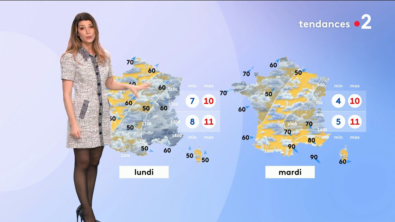 2022-02-12_20_30_Fr2_Meteo.mp4_snapshot_09.52.854