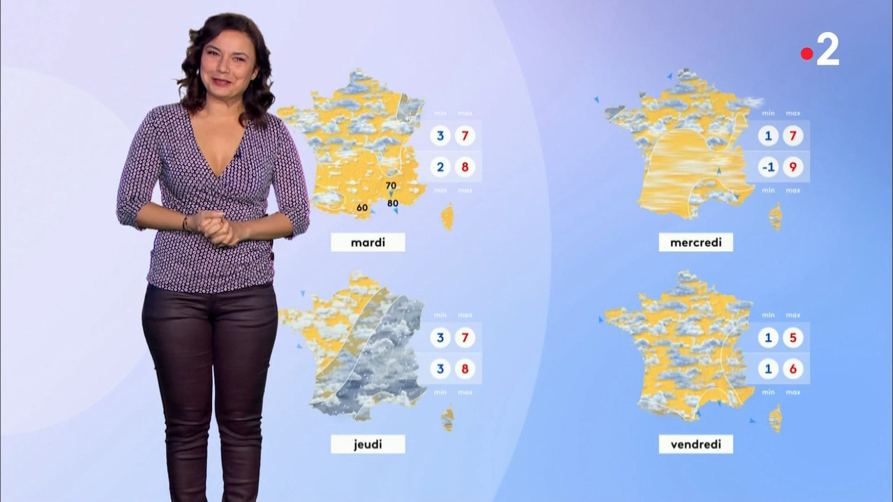 12 January - 11.55.00 - Météo 2. Meteo 2.ts_snapshot_08.48_[2019