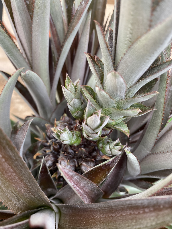 FCD85B11-DC5D-4989-B95E-5B149848301F