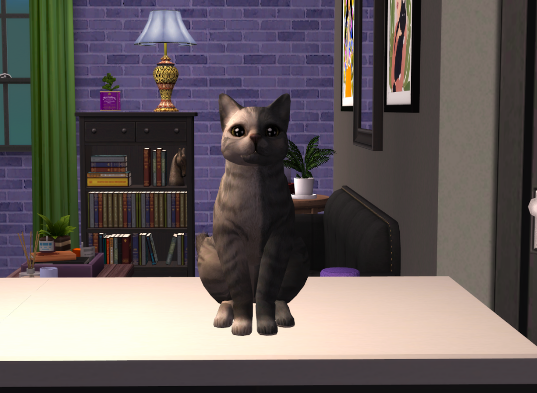 Sims2-EP9-RPC-2023-06-17-19-57-42-16