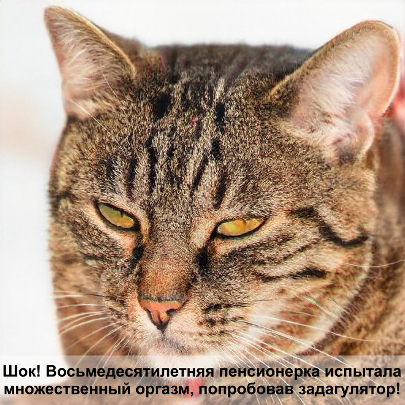 порода кошек пятнистый окрас