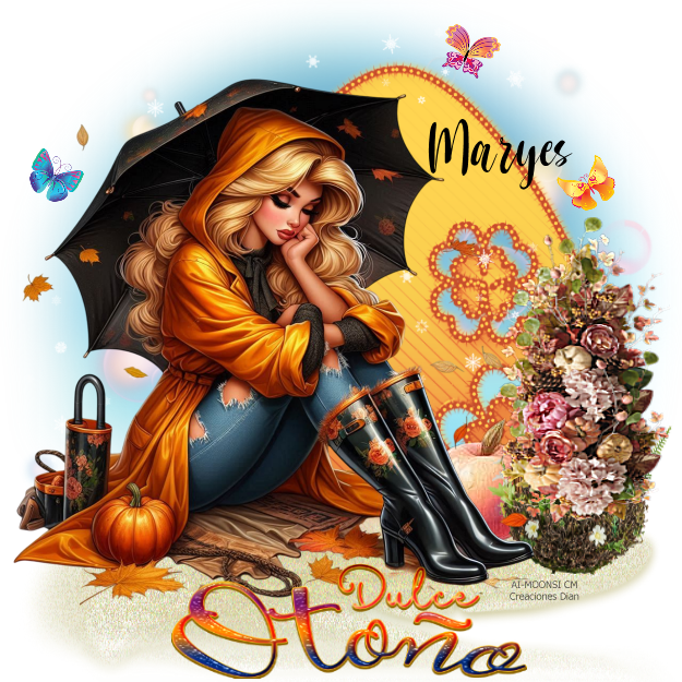 Imagen8