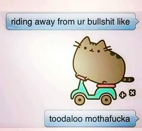 Catshit-Express.jpg