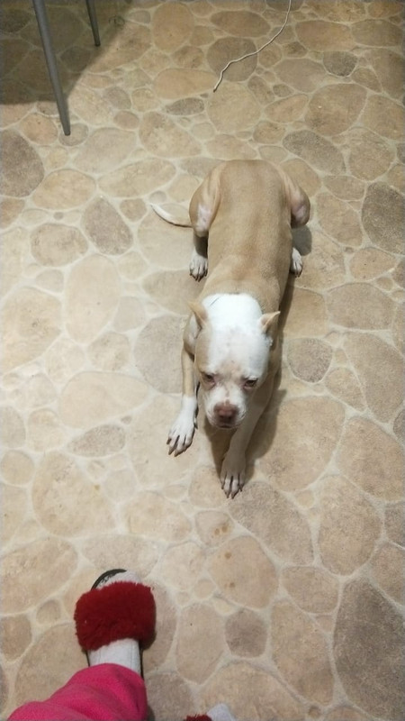 79F2A70C-D361-40DF-AEB0-80FE595DE849