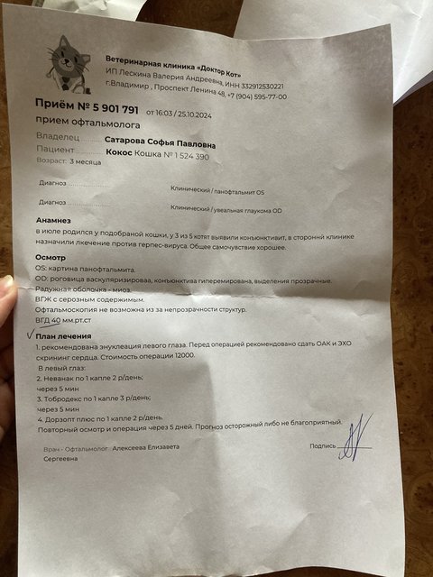 E063E494-E2ED-4061-A738-96AFBA53C155