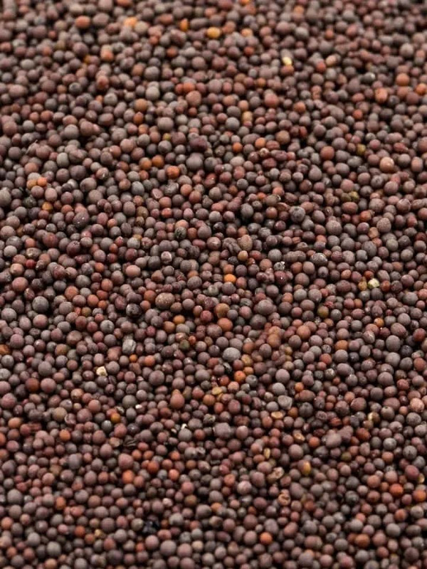 Mustard Seeds