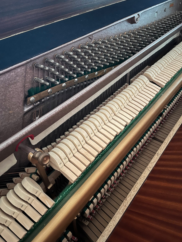 54c6d3e0-60b8-11ef-8ae6-e98bef4b1cb6