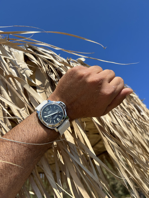 69A1A5CC-A05E-4C5F-AF7D-9E4809023F4C