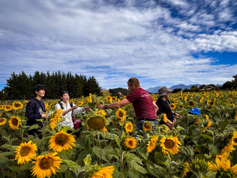 WOODSTONE FARM EXPERIENCE | Shaara Deals 