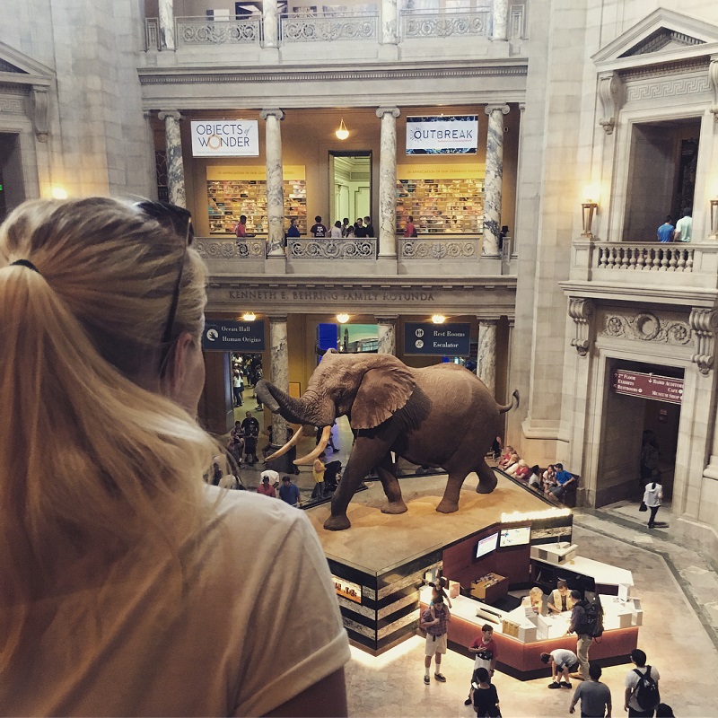 Koleksi The Smithsonian Museums